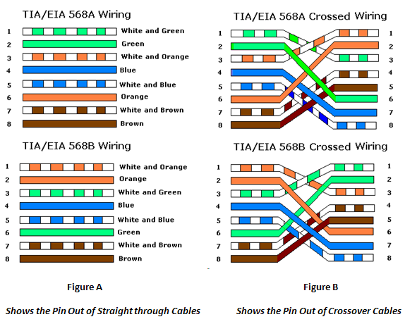 568A 586B + Crossover Cable